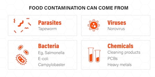 Food Contamination Sources