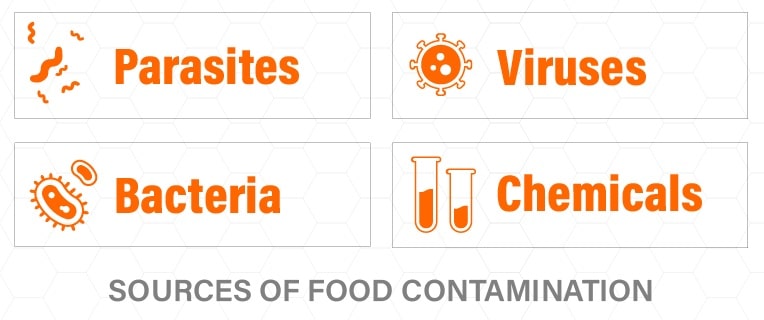 sources of food contamination