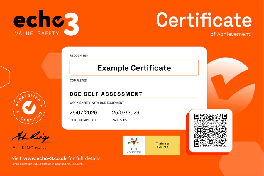 DSE Self Assessment Certificate