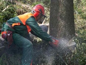 Forestry First Aid +F Course