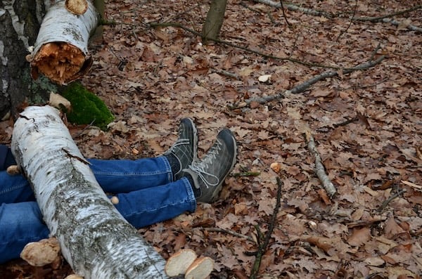 Forestry online CBT training