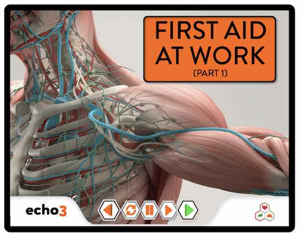 Online First Aid course