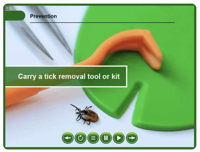 Carry a tick removal tool