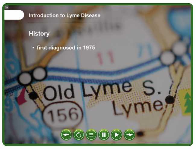 History of lymes disease