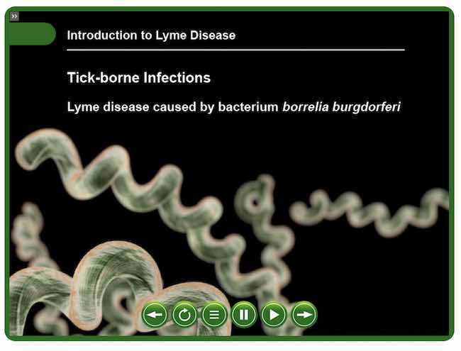 What is Lymes disease