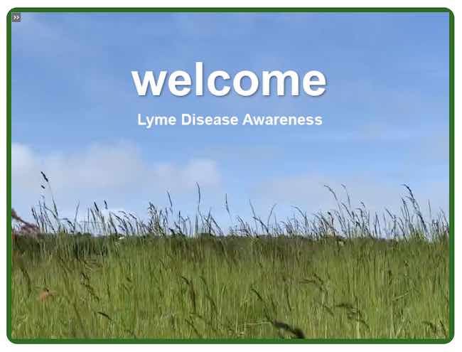 online Lyme Disease course