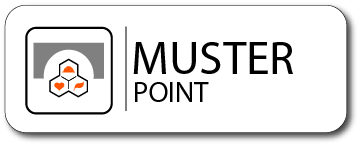 Muster Point Bridging Activity