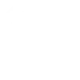 search icon white